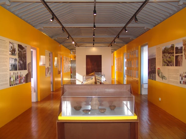 Museu do Vinho