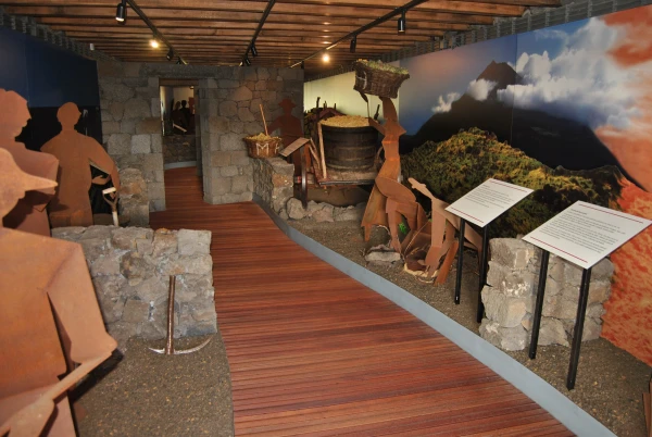 Museu do Vinho