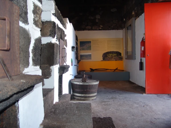 Museu do Vinho