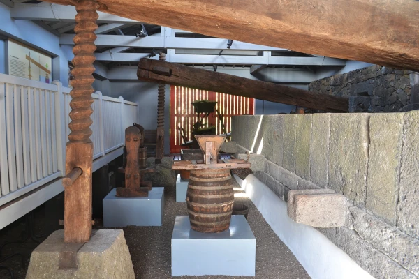 Museu do Vinho
