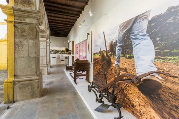 Museu das Flores