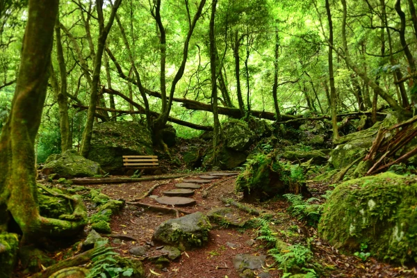 Parque da Grená